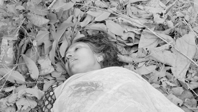 Koderma Elephant Terror Koderma Elephant Terror