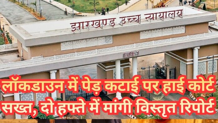 Jharkhand Tree Cutting Case