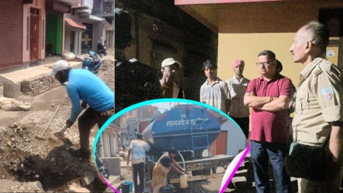 Jamshedpur Mango Hungama