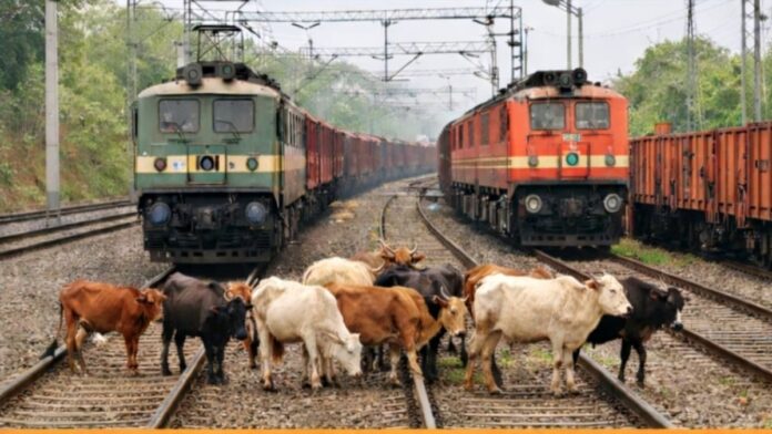 Chakradharpur Railway Division trains cancelled