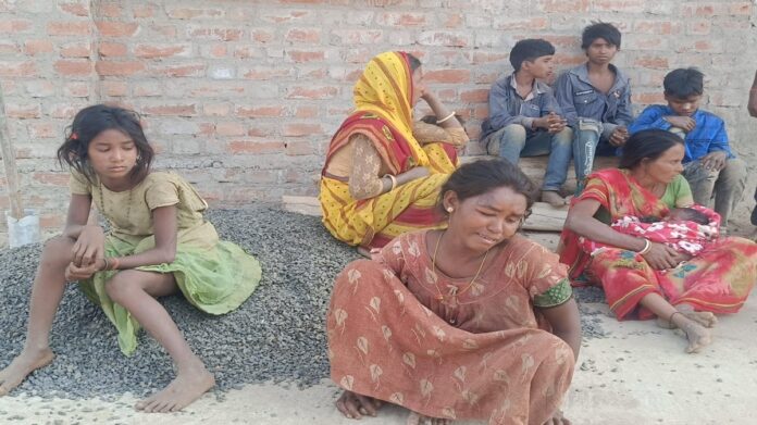 Koderma Elephant Attack