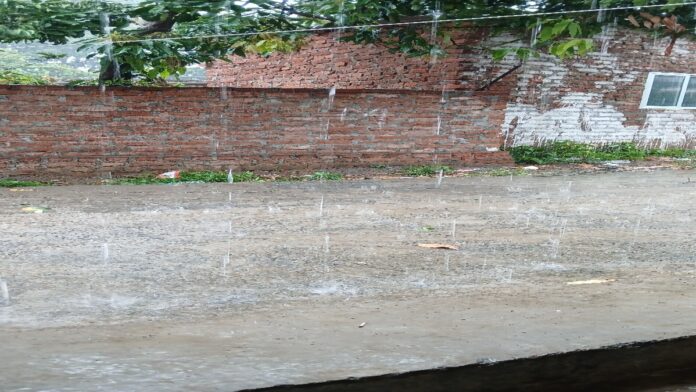 Jharkhand Rain News