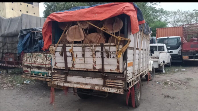लातेहार में अवैध लकड़ी के साथ दो तस्कर गिरफ्तार वन विभाग द्वारा जब्त अवैध लकड़ी और गिरफ्तार तस्कर