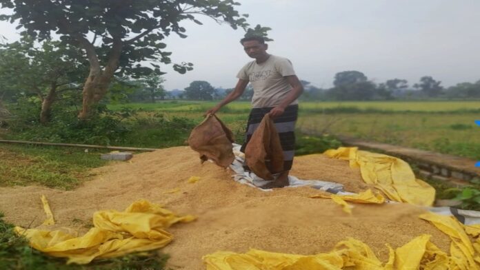 खूंटी में हाथियों का तांडव खूंटी के चिद्दी गांव में हाथियों के झुंड द्वारा धान को नुकसान पहुंचाने का दृश्य