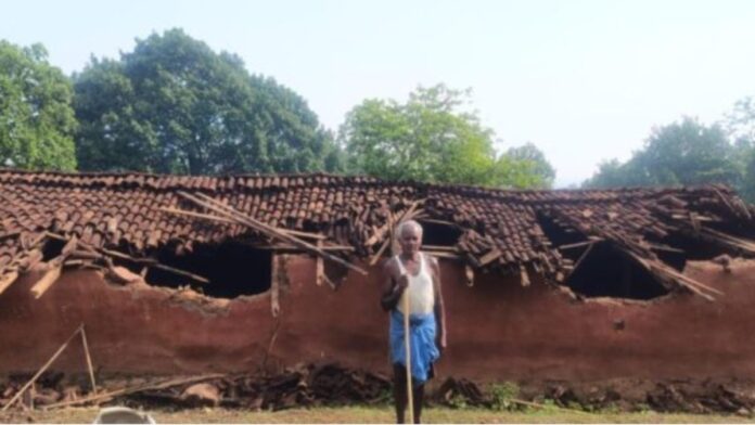 Wild elephants near a damaged mud house in Patharbasa village after consuming stored paddy and causing property damage.