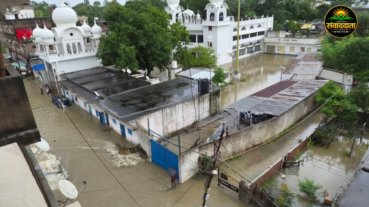 Jharkhand Rain Havoc