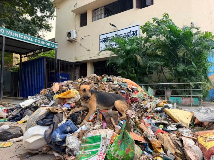 Jamshedpur Garbage